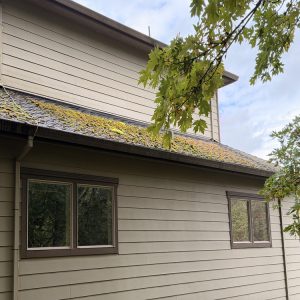 Exterior cleaning in Portland, OR