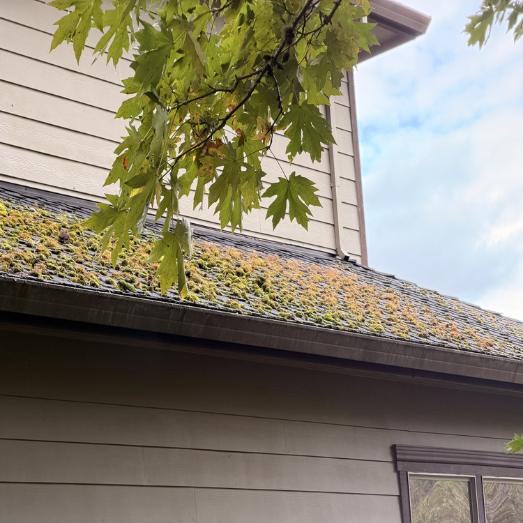 Exterior cleaning in Portland, OR