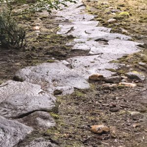 Exterior cleaning in Portland, OR