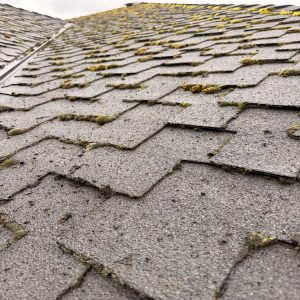 Exterior cleaning in Portland, OR