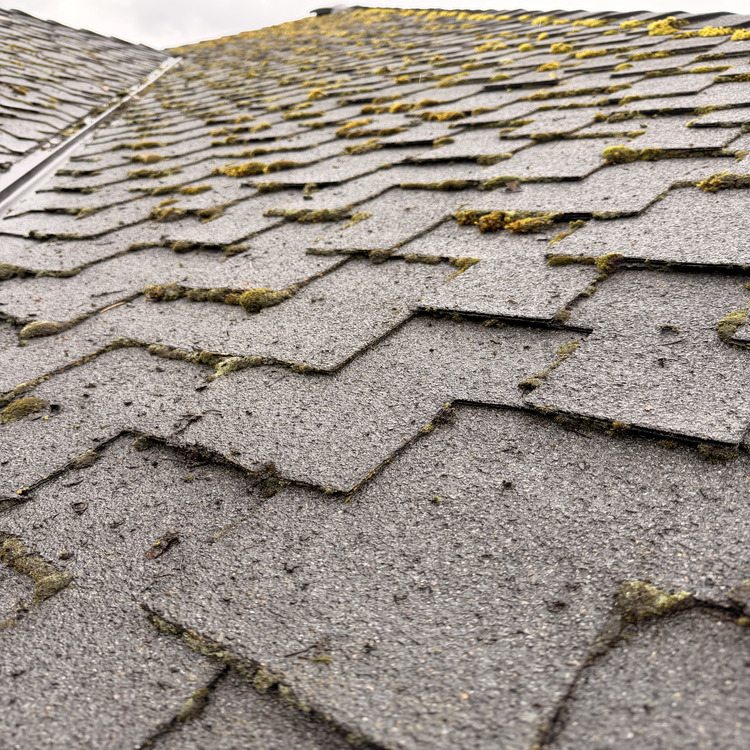 Exterior cleaning in Portland, OR