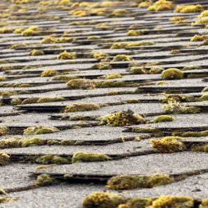 Exterior cleaning in Portland, OR