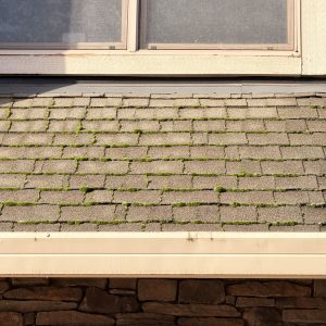 Exterior cleaning in Portland, OR