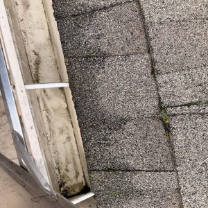 Exterior cleaning in Portland, OR