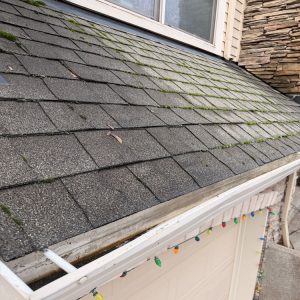 Exterior cleaning in Portland, OR